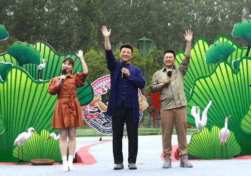 吴川最新爆料新闻视频,揭秘视频背后的惊人真相